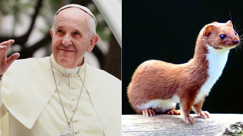 Images via Getty and Wikipedia Commons
